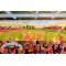 Whaddon Road Stadium Fine Art Print - Cheltenham Town FC Whaddon Road Stadium Fine Art Print - Cheltenham Town FC